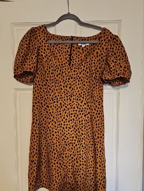 BB Dakota Leopard Print Dress